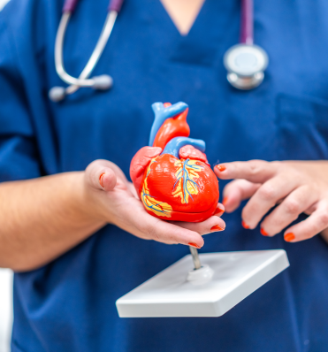 Understanding the Relationship Between Dry Mouth, Oral Health, and Heart Disease